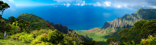 Have A Hawaiian Staycation At Home