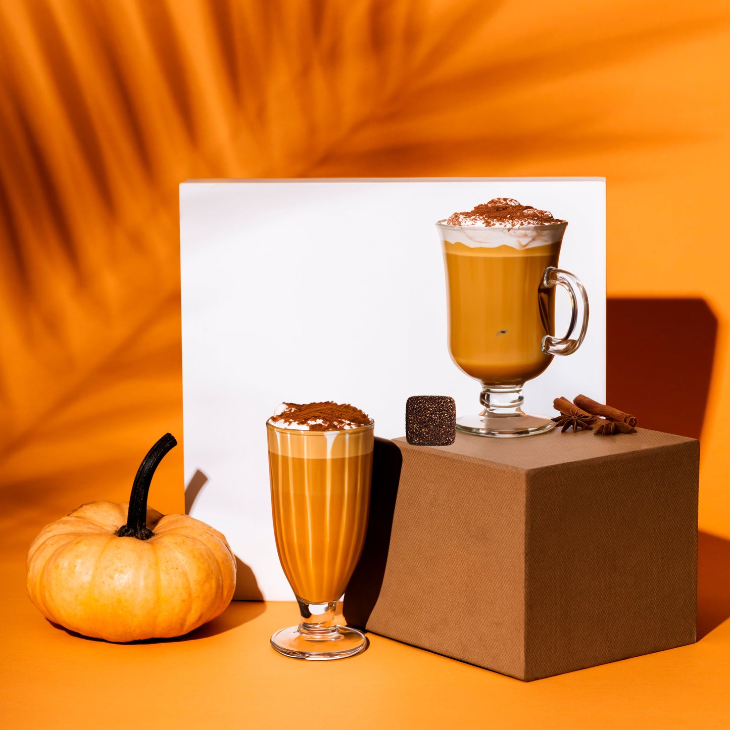 Pumpkin Spice Latte Kit