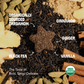 Deluxe Tea Sampler